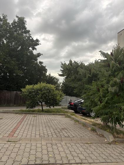 Apartament cu 2 camere decomandat în Florești