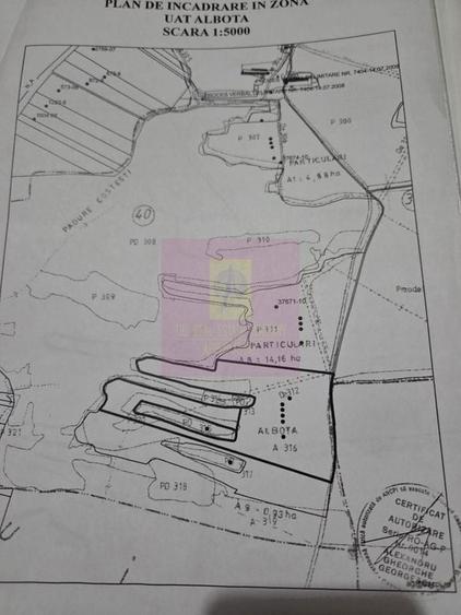 Teren de 94000 mp, în Albota