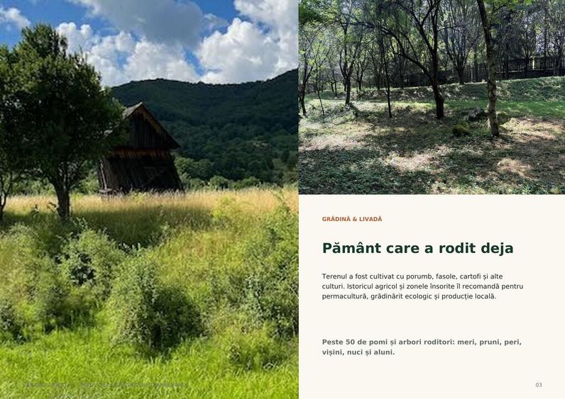 Spațiu comercial, în Tireu