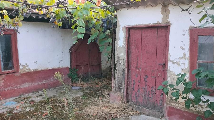Casă cu Teren 1881 Mp în Padina