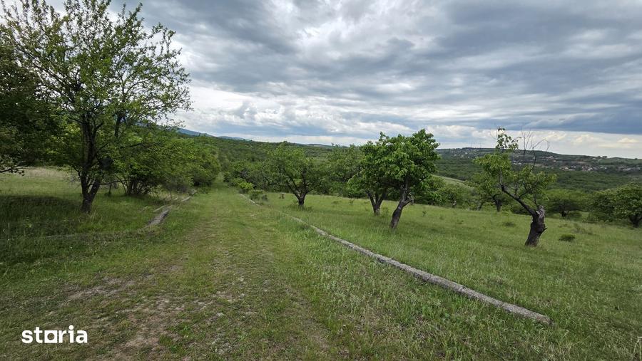 Teren de 7200 mp, în Central