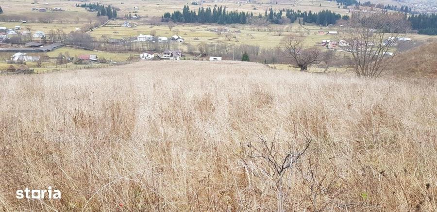 Teren ?aru Dornei 5 hectare, extravilan - 1