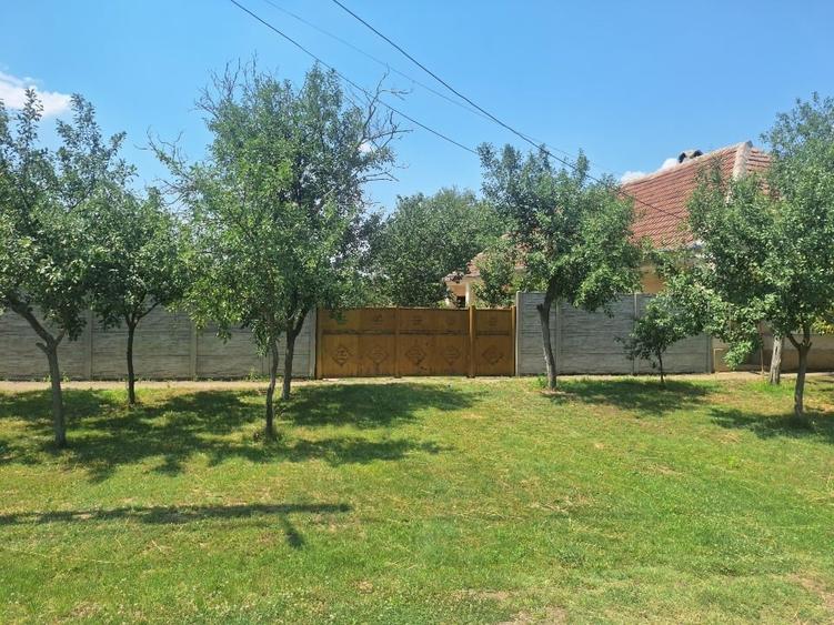 Vand doua case cu teren livada nuci si pruni - 1
