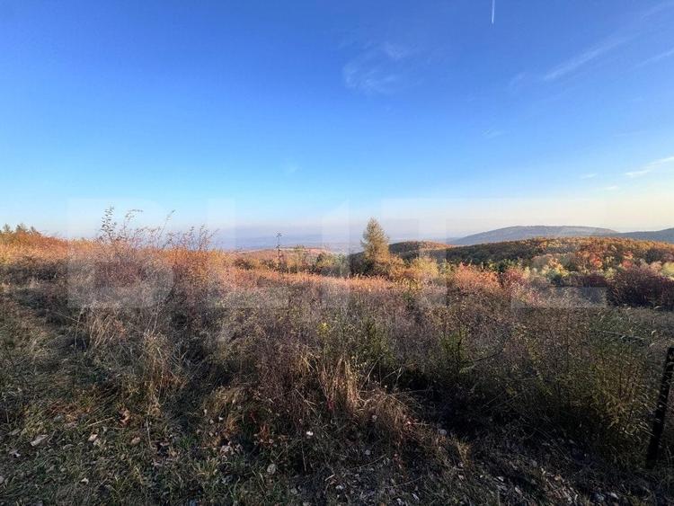 Teren Construcții intravilan de 5300 mp, în Aiud