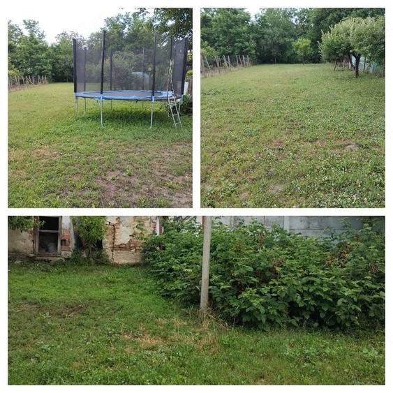 Casă cu 3 camere cu Teren 1106 Mp în Central