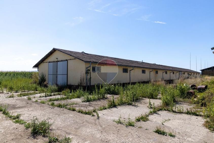 Teren Construcții intravilan de 17500 mp, în Hălchiu