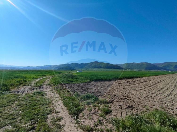 Teren agricol extravilan de 1724 mp, în Gura Râului