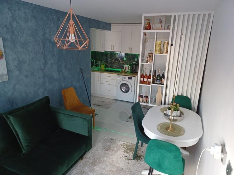 Apartament 1 camera de inchiriat Cet - 4