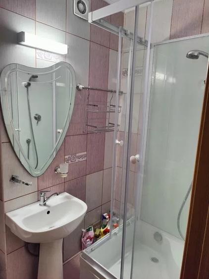 Garsonieră decomandată, mobilată în Alexandru cel Bun