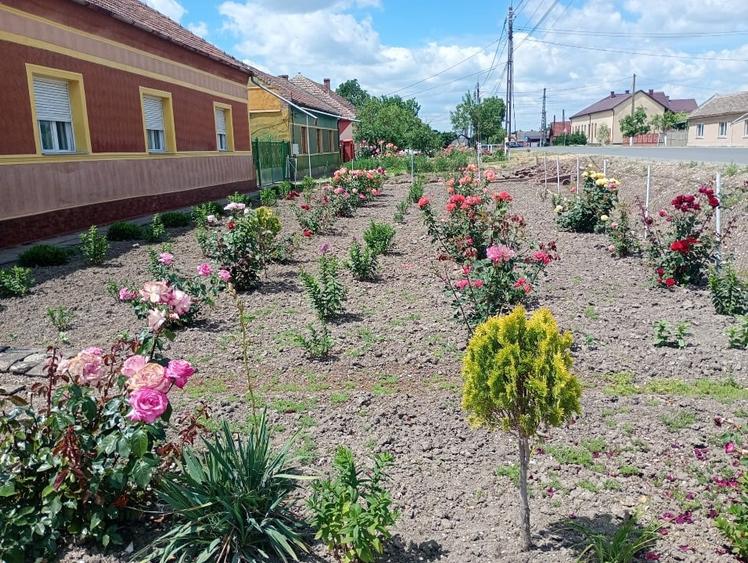 Casă individuală cu 4 camere cu Garaj în Șipet