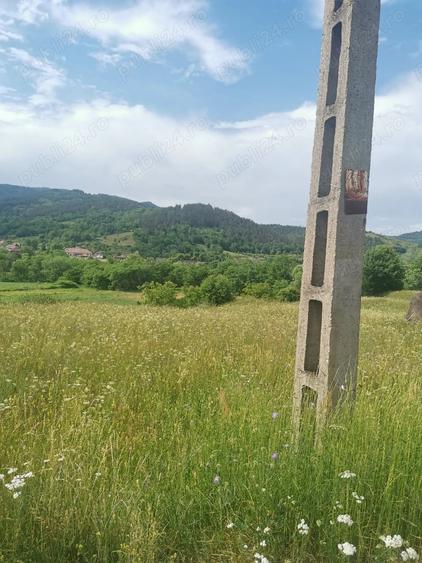 Teren de 500 mp, în Sălciua