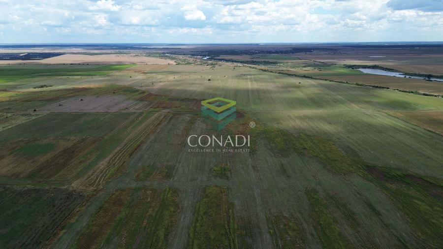 Teren agricol intravilan de 154000 mp, în Bulbucata