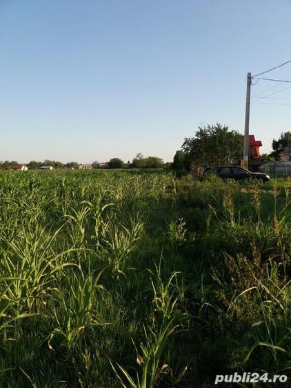 Teren de 2500 mp, în Mărăcineni