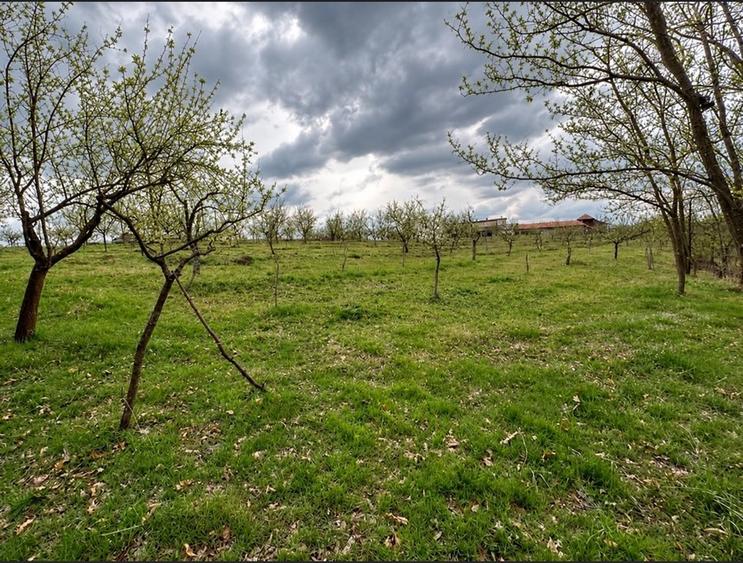 Teren Construcții intravilan de 8200 mp, în Ceretu