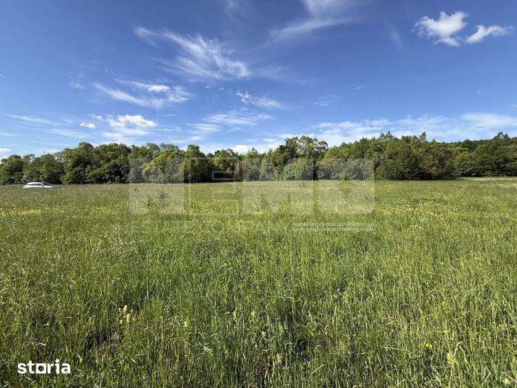Teren de 2300 mp, în Horodnic