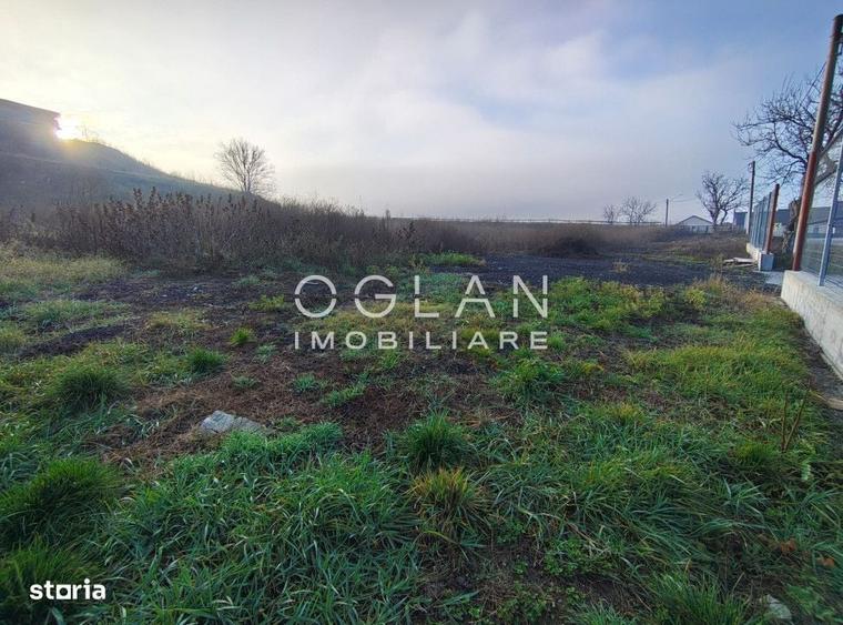 Spațiu comercial, în Șura Mare