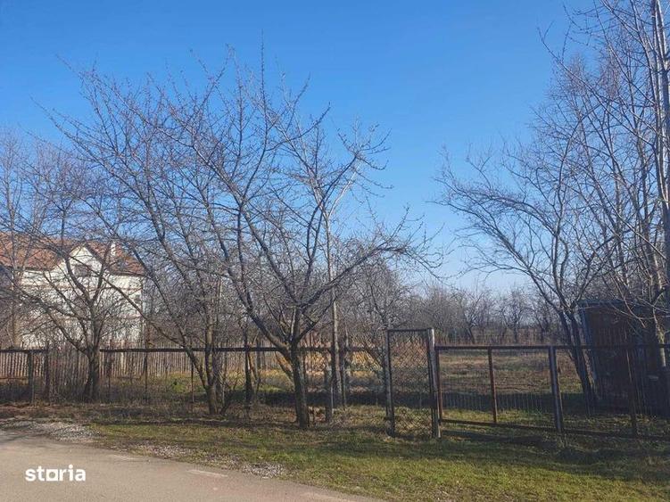 Teren de 882 mp, în Bănești
