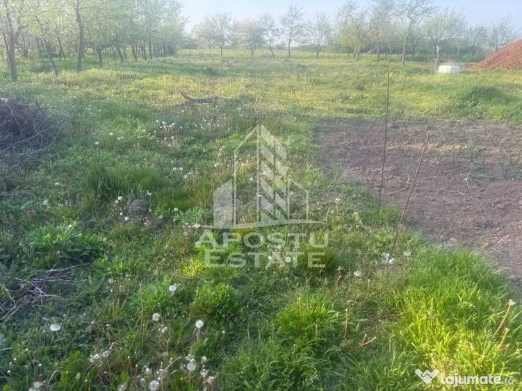 Casă cu 3 camere cu Teren 1439 Mp în Ianova