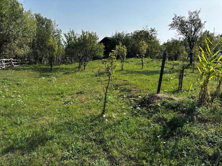 Vand tere extravilan in zona munte Corbisori Arges - 1