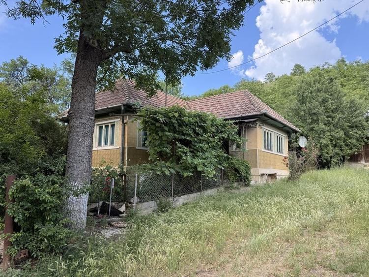 Casă cu 2 camere în Căianu Mare