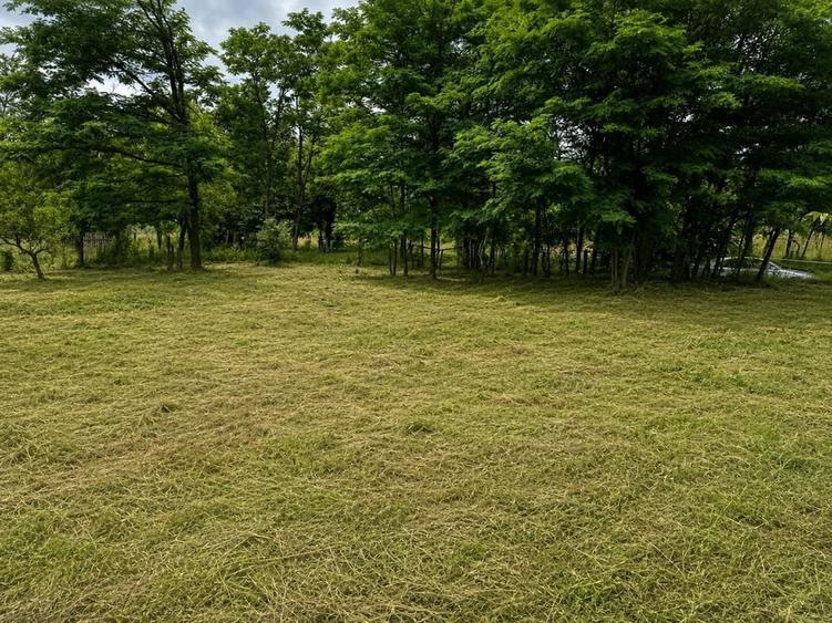 Teren de 3700 mp, în Corbșori