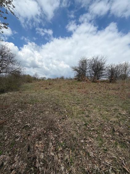 Teren de 10176 mp, în Slătioara