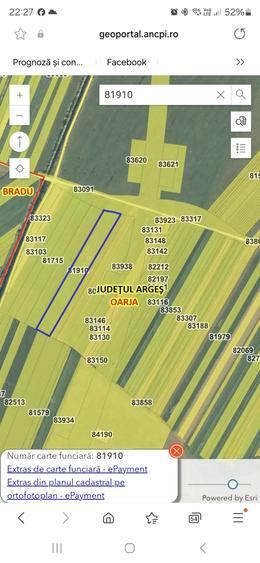 Teren de 81910 mp, în Oarja