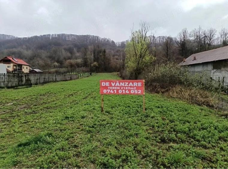 teren de vanzare - 1