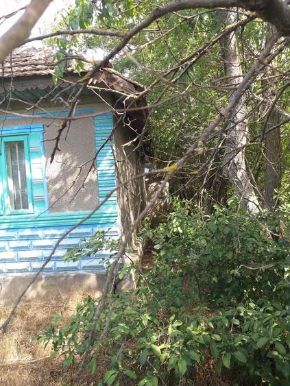 Casă cu 4 camere cu Teren 5000 Mp în Drăgănești