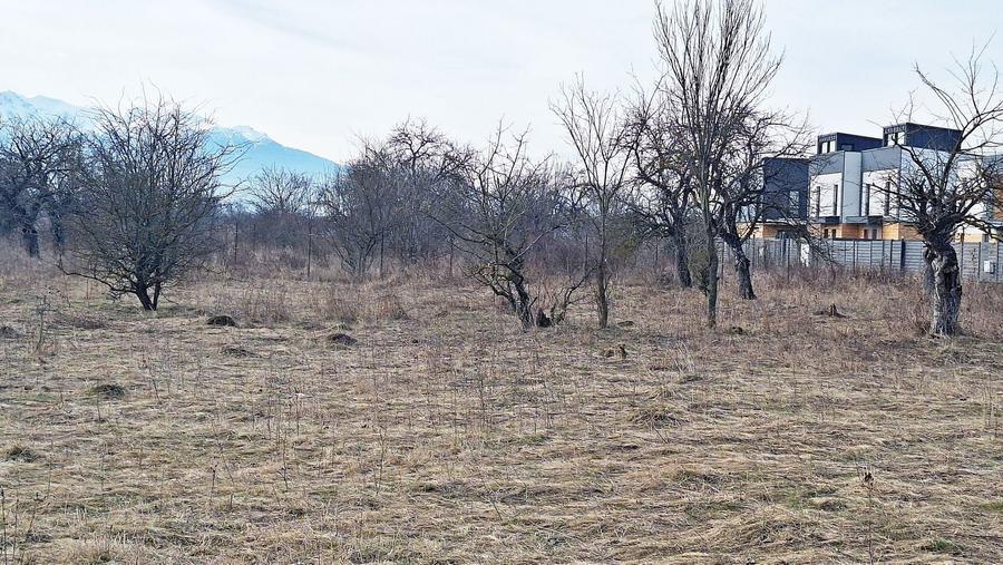 Teren Construcții intravilan de 933 mp, în Exterior Sud