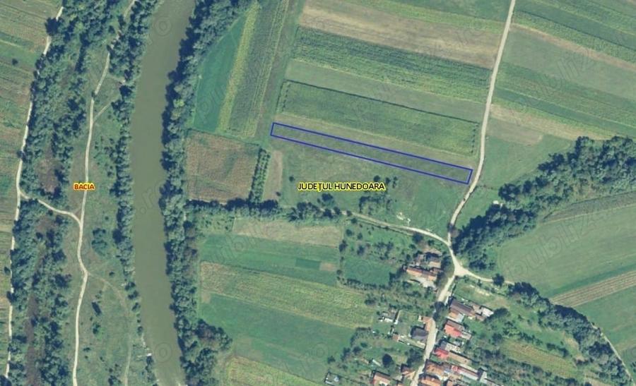 Teren de 3200 mp, în Petreni