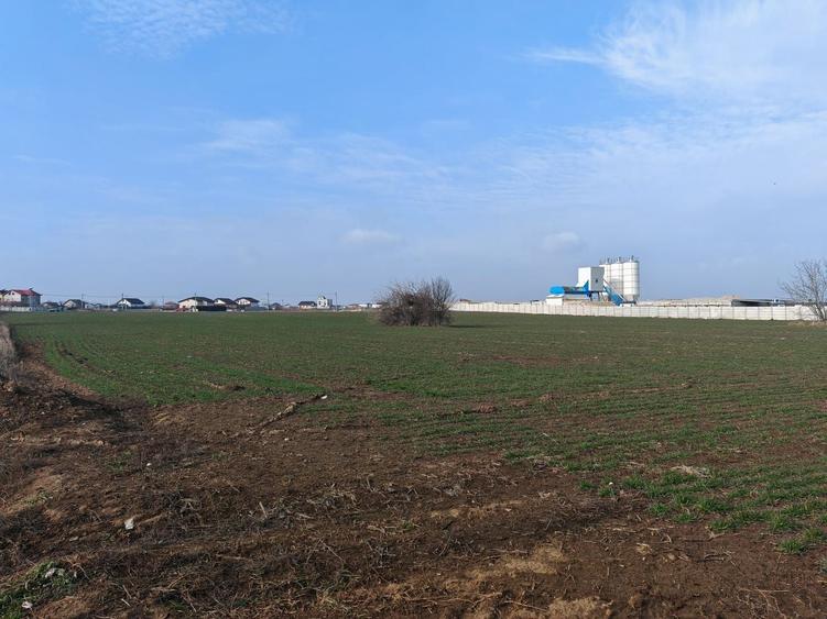 Teren Construcții intravilan de 31200 mp, în Dragomirești-Vale