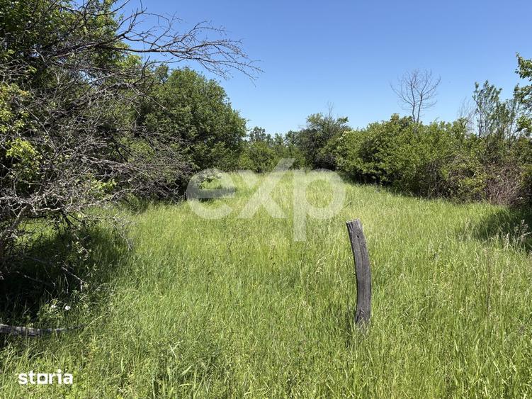 Teren 2.200 mp | 11 km de Pitesti | Vanzare integral sau parcela de 50 - 9