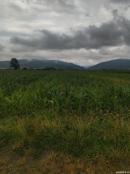 Teren de 2900 mp, în Stupinii Prejmerului