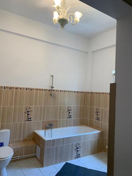 Casă individuală cu 15 camere cu Canalizare în Theodor Pallady