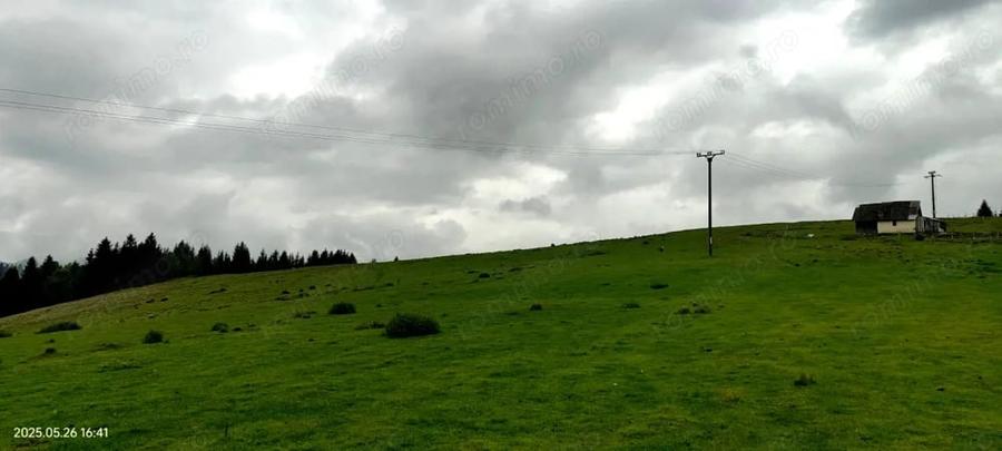 Teren de 1113 mp, în Paltin