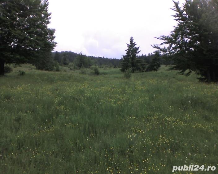 Teren de 5000 mp, în Moroeni