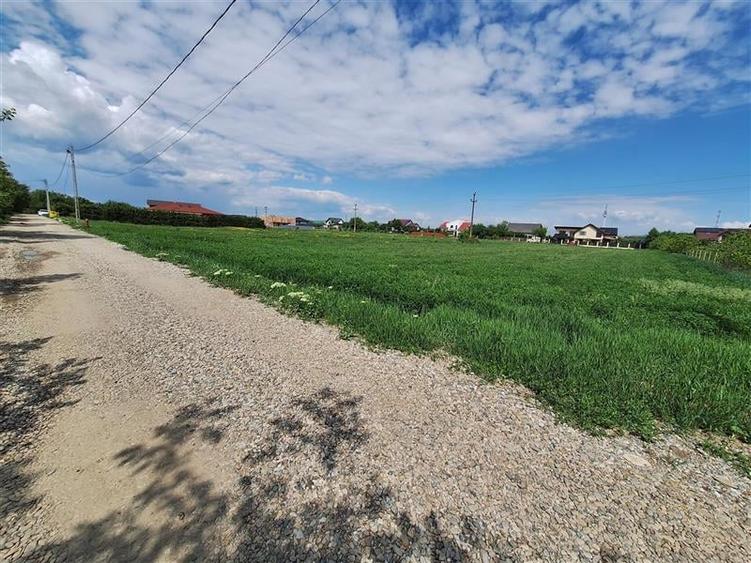 Teren Construcții intravilan de 3177 mp, în Șerbănești