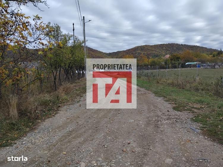 Spațiu comercial, în Cicârlău