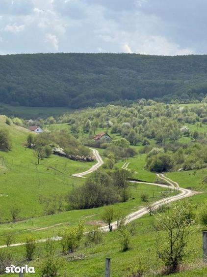 Teren de 724 mp, în Mănăștur
