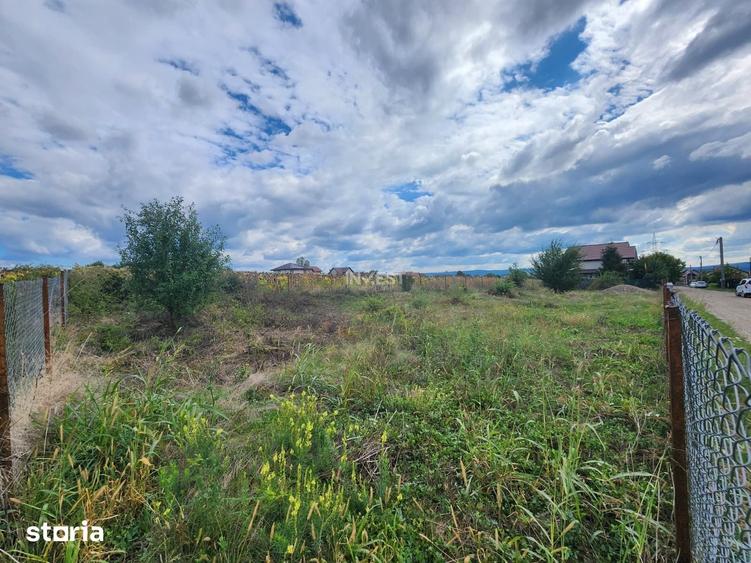 TEREN INTRAVILAT , 704 MP, MIROSLAVA - 2