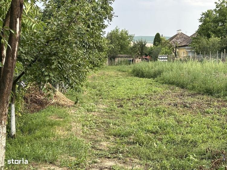Casă cu 3 camere în Târnăveni