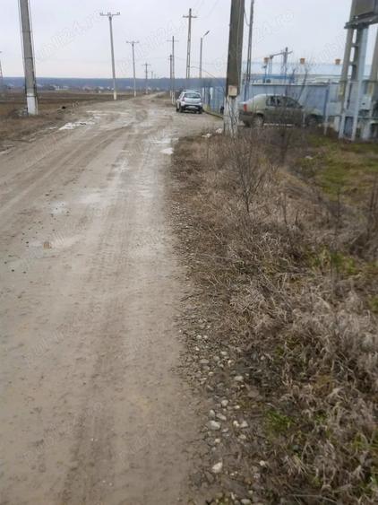 Teren de 5556 mp, în Dragomirești