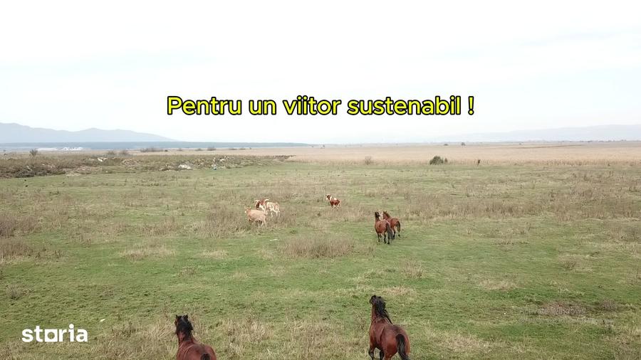 Teren de 1100 mp, în Central