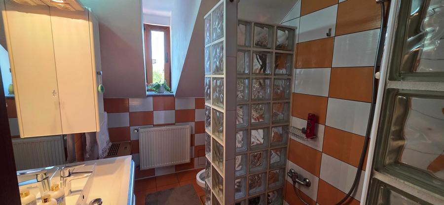 Apartament cu 2 camere decomandat în Dosu Bricii