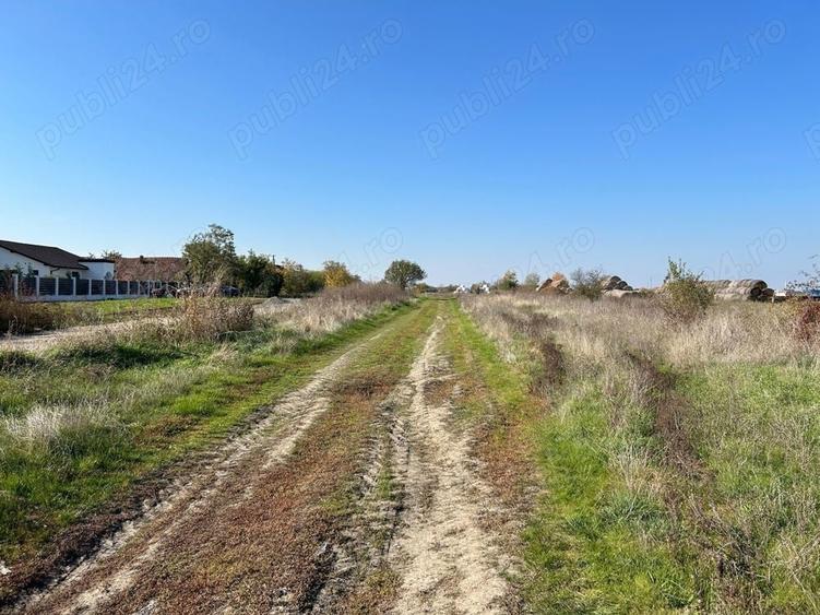 Teren de 22000 mp, în Livada