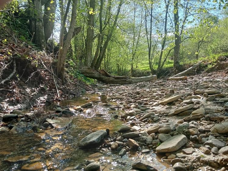 Teren de 1800 mp, în Varvata