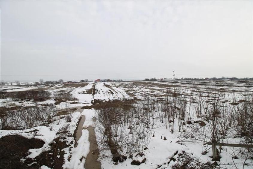 Teren Construcții extravilan de 12172 mp, în Nord-Est