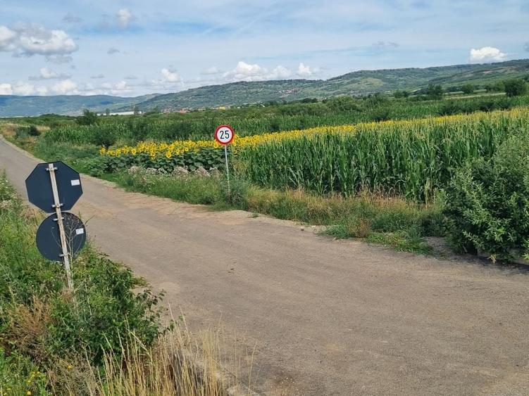 Spațiu comercial, în Pericei