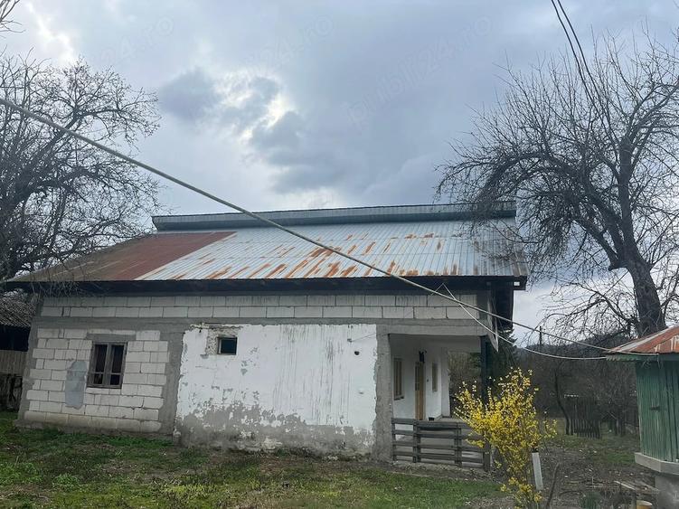 Casă cu 4 camere cu Teren 5000 Mp în Roești